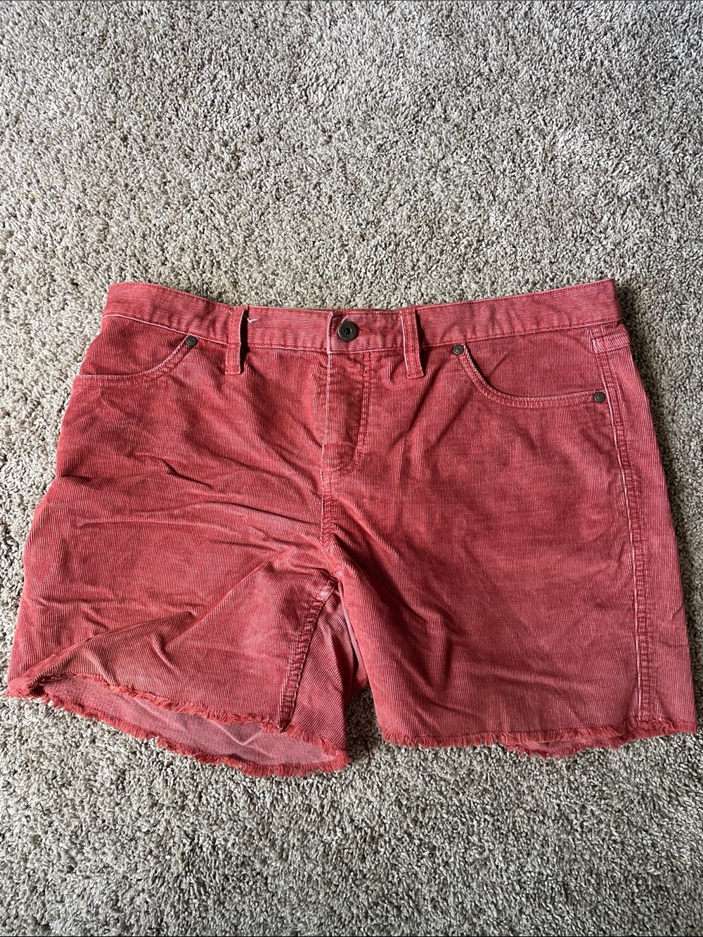 Carve Designs Sz 10 Women's Red Rust 5” Inseam Corduroy Shorts